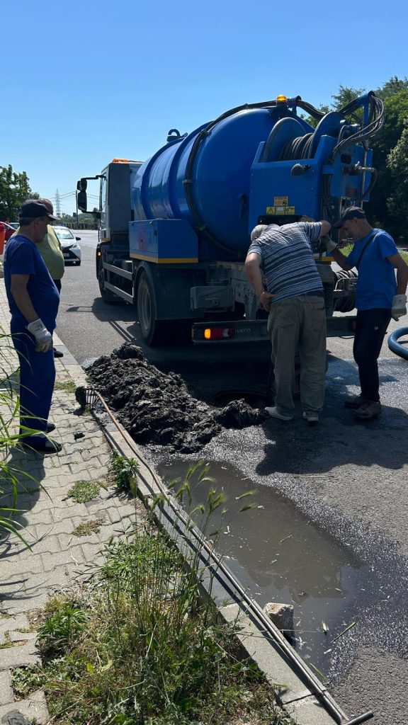 Lipsă de educație, reavoință, dezinteres…ce sa fie?