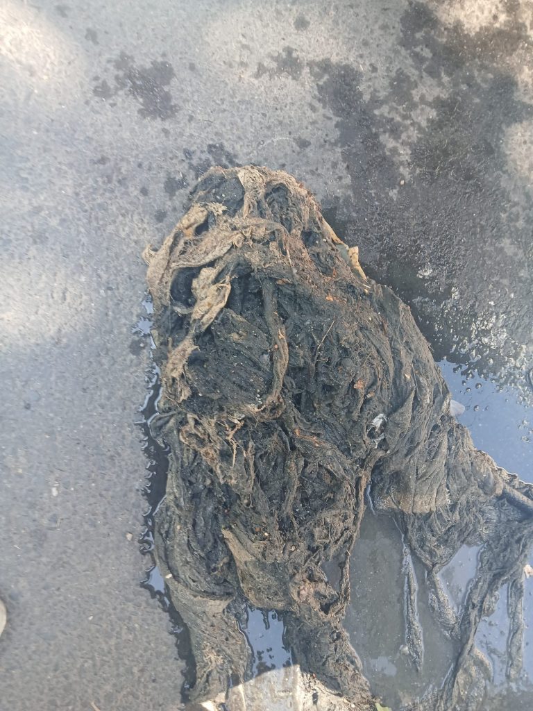 Așa NU trebuie să arate canalizarea!